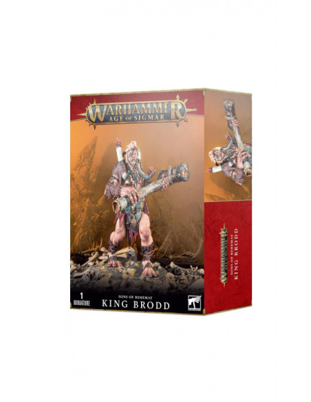 Warhammer : Age of Sigmar - ROI BRODD