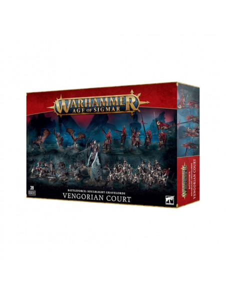 AGE OF SIGMAR : SOULBLIGHT GRAVELORDS - BATTLEFORCE VENGORIAN COURT