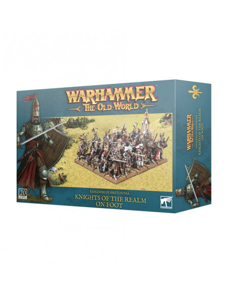 Warhammer - The Old World - Chevalier du Royaume à Pied