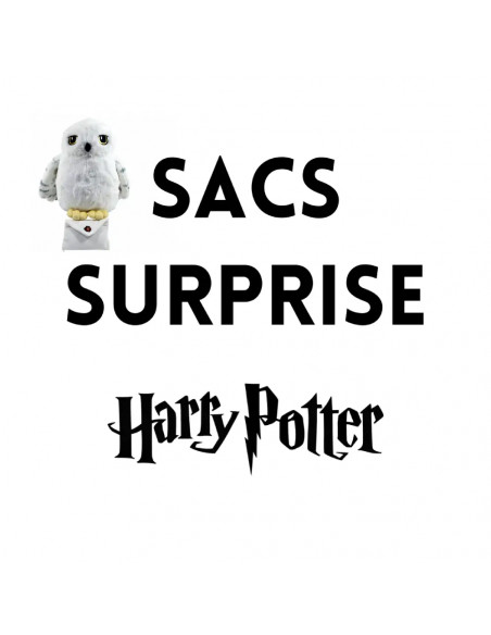 Sac surprise Harry Potter