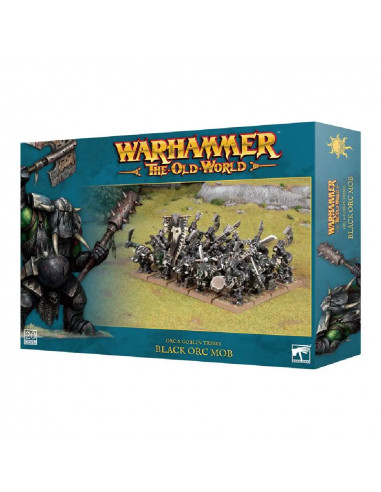 Warhammer - The Old World - Bande d'Orques Noirs