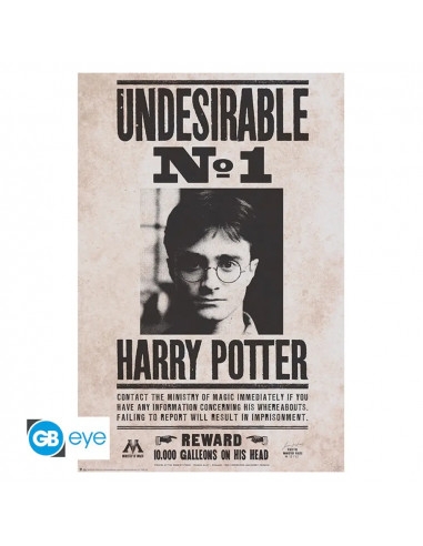 Harry Potter - Poster Indésirable n°1 (91,5x61cm)