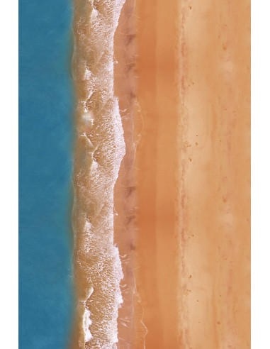 Tapis de jeu - Maps Double Terrains LONG BEACH + TATOOINE 180x120cm 